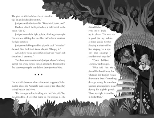 Juniper's Christmas (The Juniper Lane Adventures) - Image 3