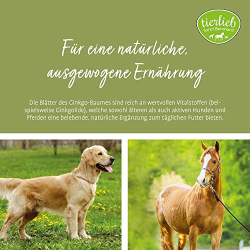 tierlieb Sanct Bernhard Ginkgo-Pulver für Hunde & Pferde | Einzelfuttermittel für Körper & Geist | Geprüfte Premiumqualität | 400g