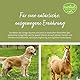 tierlieb Sanct Bernhard Ginkgo-Pulver für Hunde & Pferde | Einzelfuttermittel für Körper & Geist | Geprüfte Premiumqualität | 400g