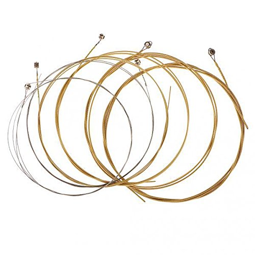 ATORSE 2x Set of 6pcs E-B-D-G-A-E for 38-41 Inch Acoustic Guitar Stringed Instruments-image-11