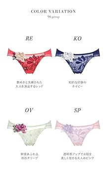Amazon.co.jp: ワコール Wacoal サルート Salute 23AW 96G