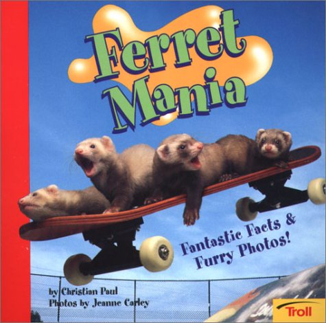 Ferret Mania