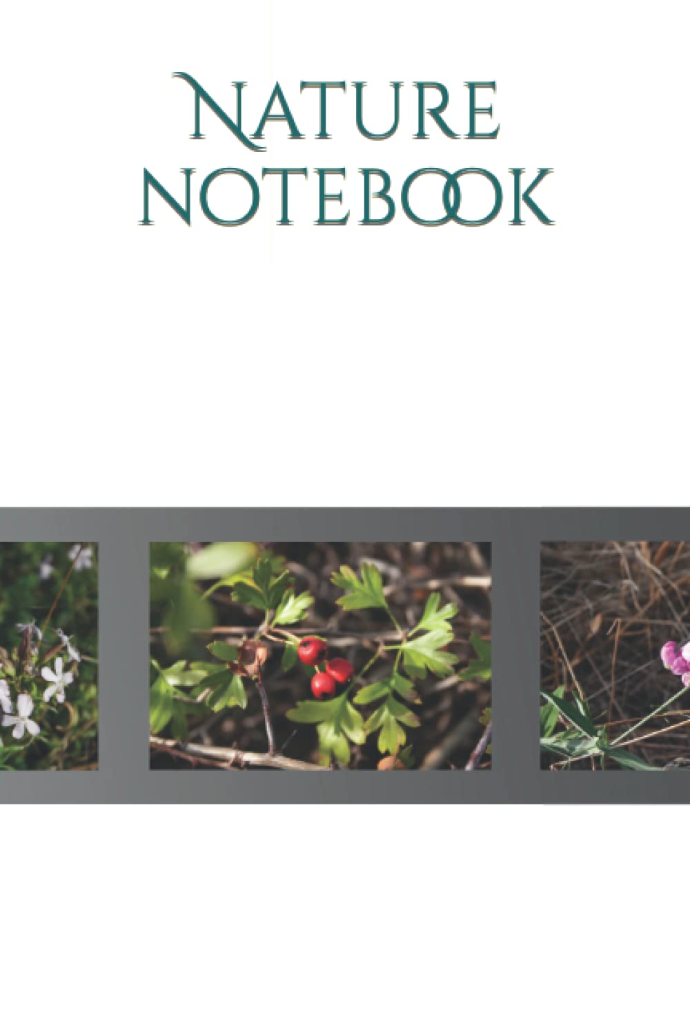 Independently published Nature notebook
