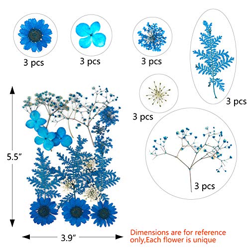 54 Pieces Real Dried Pressed Flowers,Multicolor Pure Dry Flowers Leaves Patels for DIY Resin Jewelry Nail Crafts Making Art Floral Decors