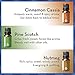 Pure Body Naturals - 6 Count x 10 ml Undiluted Essential Oils Set - Cinnamon, Fir, Clove, Pine, Nutmeg, Peppermint - Perfect for Diffusing, Scented Recipes, Gifts