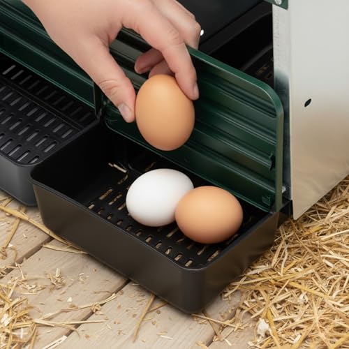 Agrarzone Nido Per Galline 3 Scomparti - Robusto In Metallo Zincato Con Fondo Plastica - Facile Pulizia, Montaggio A Parete, Raccolta Uova Sicura - Ideale Per Polli E Pollaio - 3