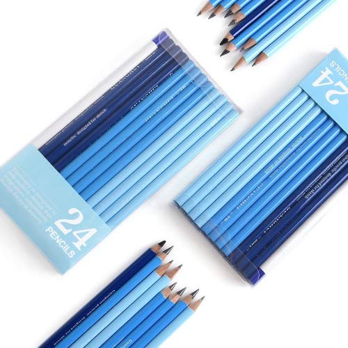 24 Sketch Pencils - Professional Art Sketching Pencils Travel Set Artists Drawing Kit Graphite Charcoal Pencils For Painting, Sketching, Drawing, Shading #TOP4