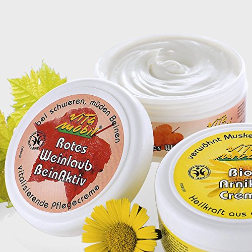 Preisvergleich Produktbild Vitamobil Rotes Weinlaub BeinAktiv 200ml