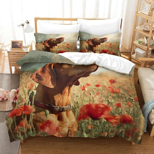 Tableau ancien housse de couette 3D parure lit confortable single - 3