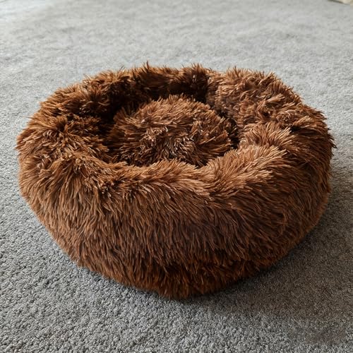 [ADSNS] �y�b�g�x�b�h �z�c�^ ���킢�� �􂦂� �L ���^�� �~ 90cm �~�p �g���� �ӂ�ӂ� �_�炩 �V���M�[ �L���b�g�n�E�X �L�x�b�h �y�b�g�N�b�V���� �J���[6 �y�b�g�}�b�g ������ ���� �����^���p�x�b�h �h���΍� �ӂ�ӂ� �g����