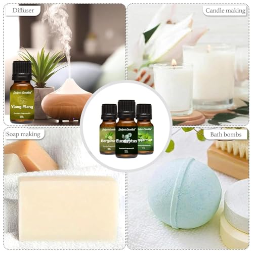 Image of Fragrance Oil | 15 ml | Aroma Oil for Home Fragrance | Best for Aromatherapy | Use in Diffusers, Candles, Air Fresheners (30ML, Coffee, Vanilla)