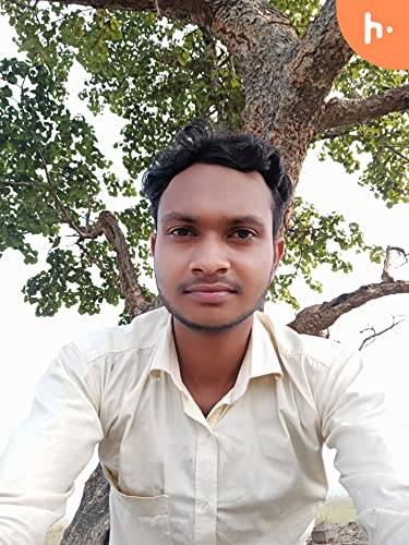 The Cyber Company cover art