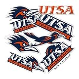 Desert Cactus The University of Texas at San Antonio Sticker Texas San Antonio Roadrunners Vinyl Decal Laptop Water Bottle Car Scrapbook Sheet (Type 2)