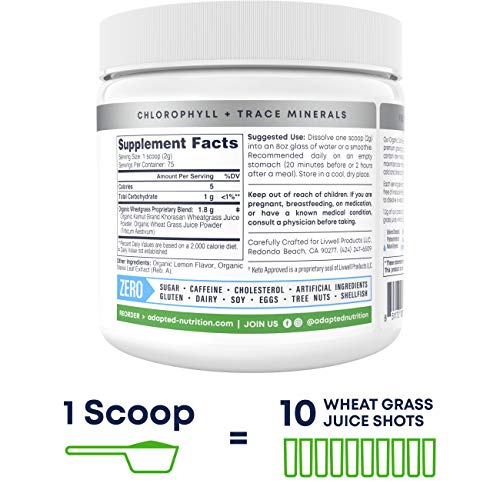 Hi-Lyte Organic Wheatgrass Juice Powder With Kamut | 75 Servings | Keto K1000 Electrolyte Powder | Hydration Supplement Drink Mix #TOP5