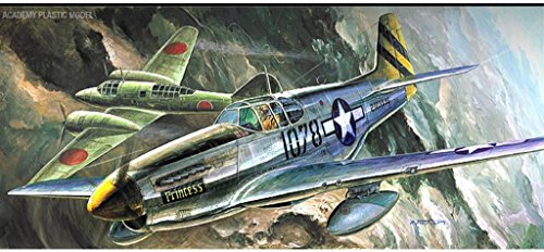 Academy The Fighter of World War II P-51C Model Kit, Gray