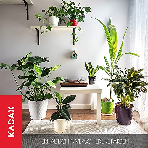 KADAX Blumentopf mit Untersetzer aus Kunststoff Ø20cm, Gold, Pflanzkübel für Innen- & Außenbereich… – Ansicht 5
