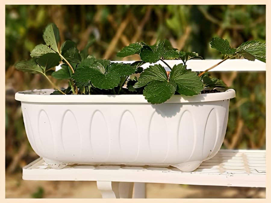 Image of Plastic Rectangle Round Corner Flower Pots with Drainage Hole Saucers Durable Outdoor Indoor Planters with Tray Plant Containers for Balcony, Garden, Home & Office (White, 5)