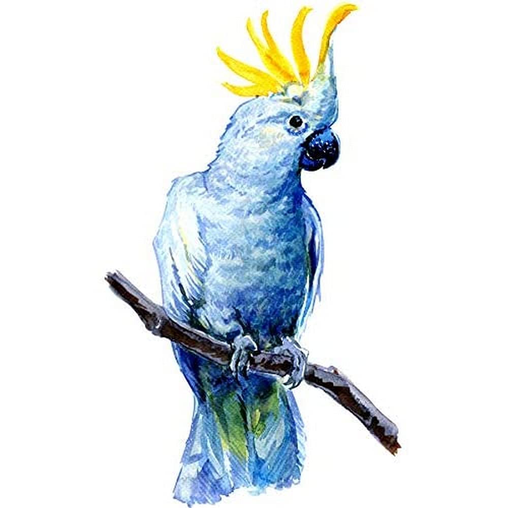 Wee Blue Coo Bird Cockatoo Painting Unframed Art Print Poster Wall Decor 12x16 inch