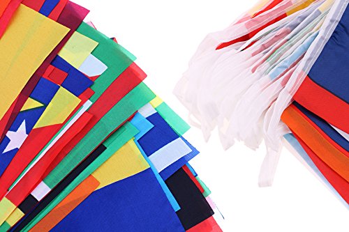 200 Country Flags, Flags Of The World, Buytra International Flags Bunting Banner Decorations For Party, Olympics, Grand Opening, Bar, Sports Clubs, School Events, Cultural Studies And More #TOP3