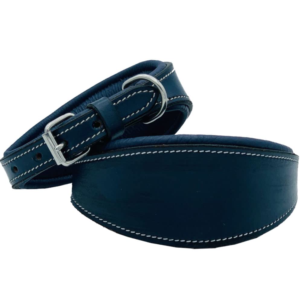 Leather Greyhound Collar, Padded, Wide to Lurcher, Saluki & Hound - For Dogs (UK), Luxury - Size 12.5 to 15.8 Inches, Navy