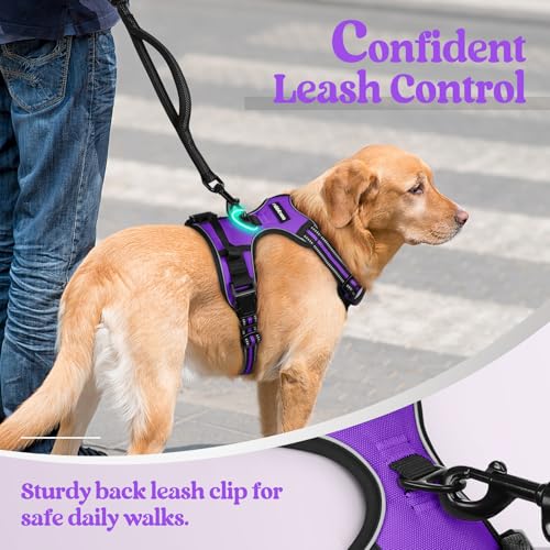 Image of rabbitgoo Dog Harness No Pull with 2 Leash Clips, Adjustable Soft Padded, Reflective Oxford No Choke Pet Vest with Easy Control Handle for Small Dogs, Purple, S