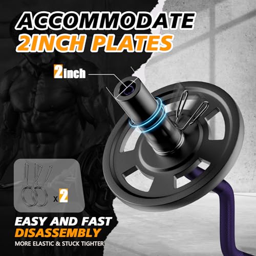 Image of Olympic EZ Curl Barbell Bar 47 inch, 2-Inch Curl Bars for Weight Lifting,Hip Thrusts,Squat,Biceps-Home Gym Chrome Curling Bar for 2 Inch Weight Plates -2 Spring Collars(500lb Weight Capacity)