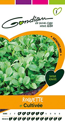 Gondian 154175 Semences-Roquette Cultivee-CP 1, Vert, 1x8.1x16 cm