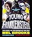 Young Frankenstein: A Mel Brooks Book: The Story of the Making of the Film