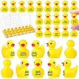 Skylety 75 Pcs Back to School Mini Resin Ducks Motivational Students Reward