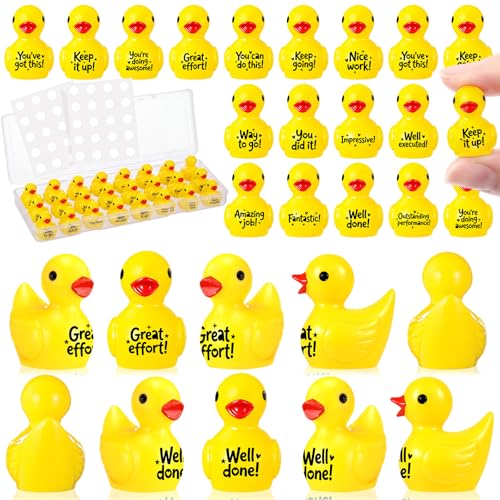 Skylety 75 Pcs Back to School Mini Resin Ducks Motivational Students Reward