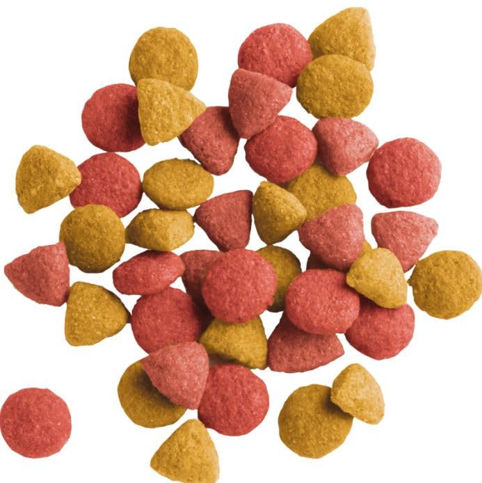Image of Lara Adult Dry Cat Food, Urinary Care with Chicken - 2kg | Supports Urinary Tract Health | Complete & Balanced Nutrition | Dry Food for Adult Cats