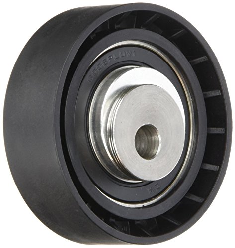 Ina 531 0497 10 - Rullo Tenditore, Cinghia Dentata