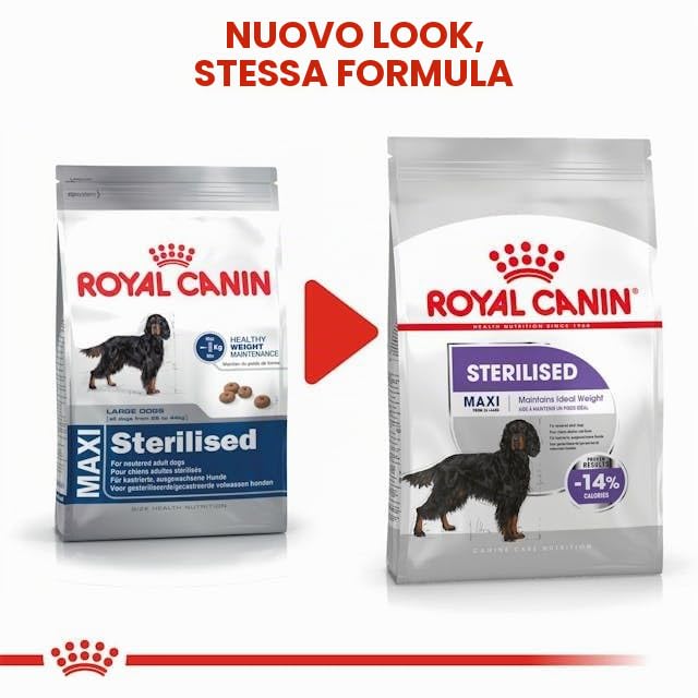 ROYAL CANIN CANE MAXI STERILISED ADULT 12 KG