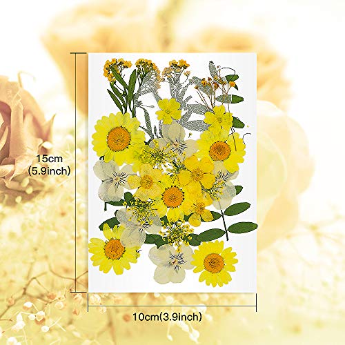 image for TAEERY 51 PCS Real Dried Pressed Flowers Leaves Petals for Crafts - Co