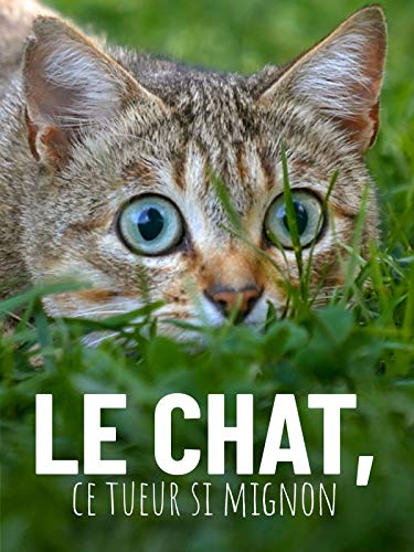 Le chat, ce tueur si mignon