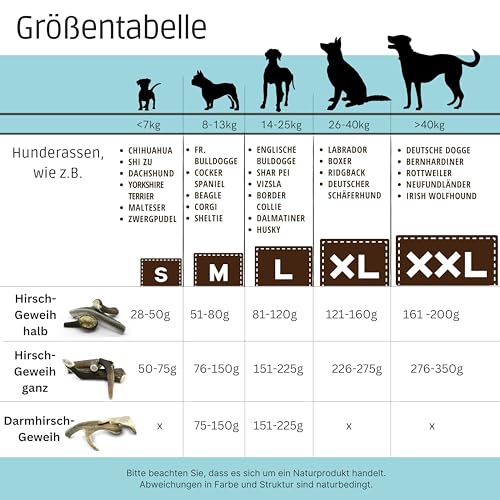 PetLove Damhirsch Geweihstange für Hunde & Welpen • Hirschgeweih Hund • Natürliches Geweih • Kauspielzeug Größe L (151-225g)