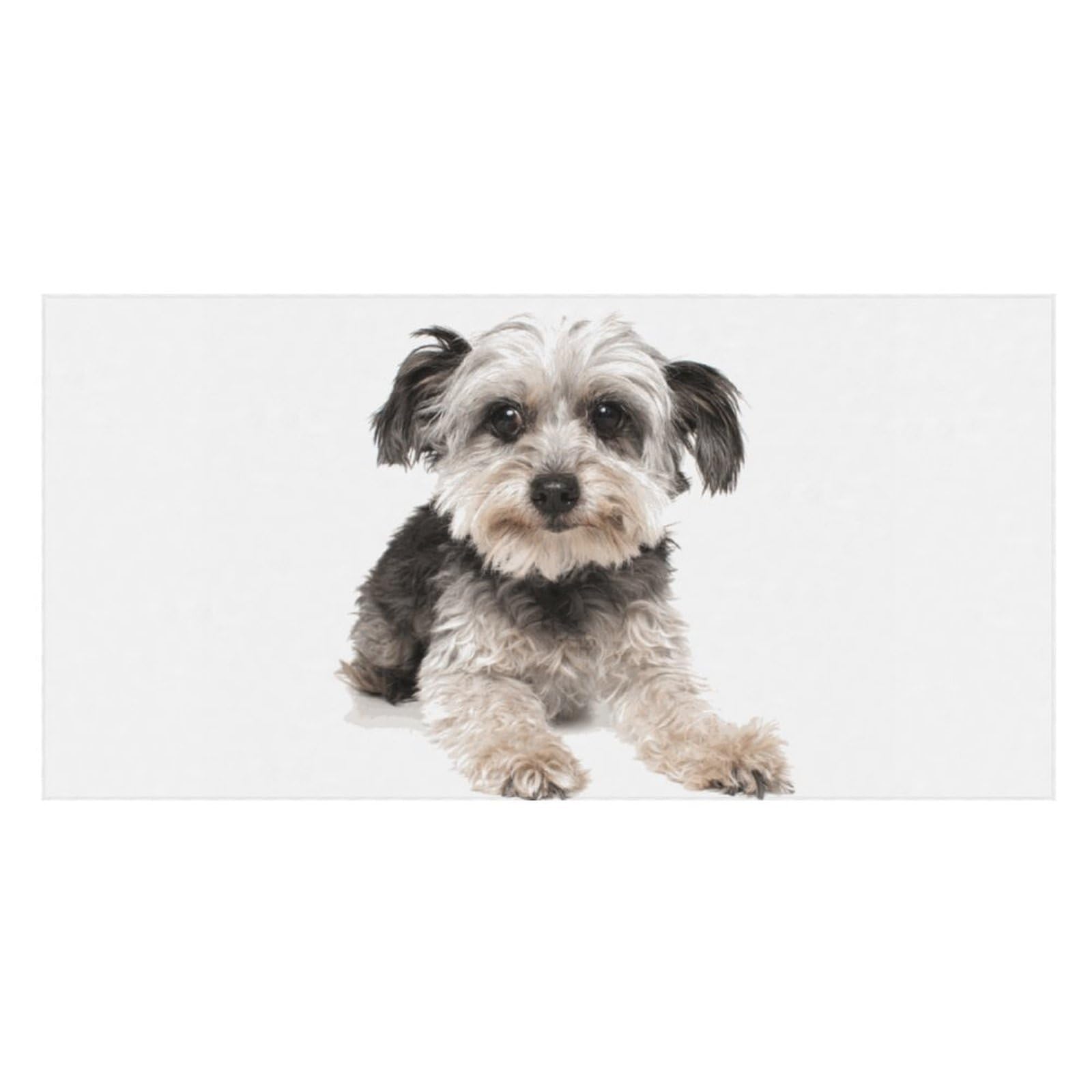 LWORZIIB Beach Towel, Cute Yorkshire Terrier Bath Towel, Pool Towel Great for Gym Swimming 80 X 160cm