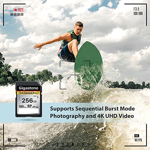 Gigastone 256Gb Sd Card V30 Sdxc Memory Card High Speed 4K Ultra Hd Uhd Video Compatible With Canon Nikon Sony Pentax Kodak Olympus Panasonic Digital Camera, With 1 Mini Case #TOP5