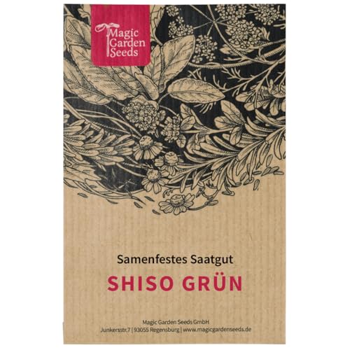Magic Garden Seeds - Shiso grün (Perilla frutescens) - ca. 200 Samen - aromatische Kräutersorte - Kräutersamen - Kräuter Samen - Garten Geschenk