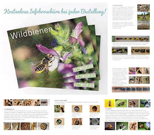 aktiongruen Mega Pack Bamboebuisjes insectenhotel knutselspullen 200 nestbuizen 17 cm met 300 g leempoeder - Image 8