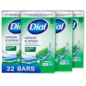 Dial Antibacterial Bar Soap, Refresh & Renew, Mountain Fresh, 4 oz, 32 Bars