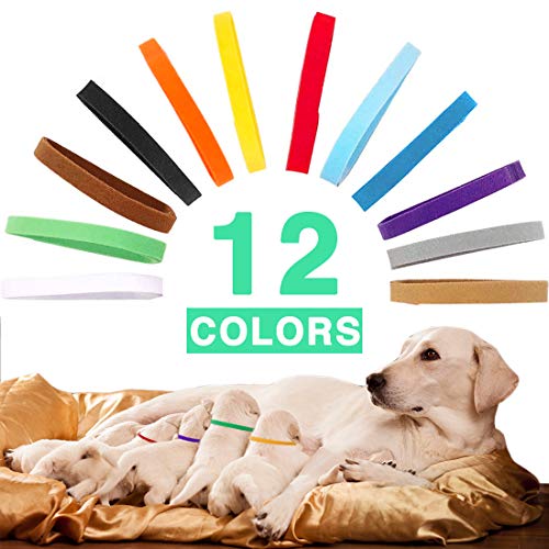 best whelping collars