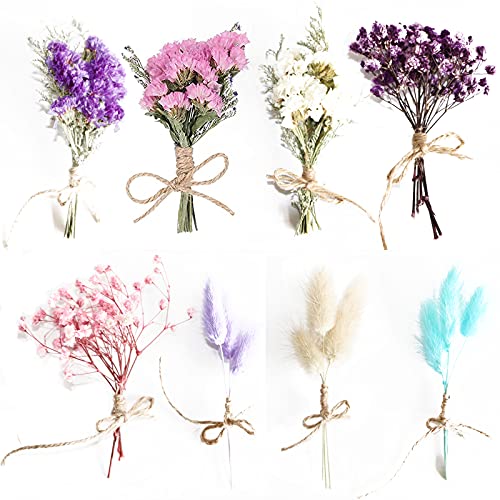 Mezcla De Ramo De Flores Secas Naturales 8 Piezas Flores Secas Naturales Mixtas Mini Ramo De Flores Secas Mini Ramo Seco Natural Cover