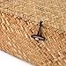Yesland Handwoven Seagrass Rattan Storage Basket - 11.5'' x 7.5'' x 5'' - Brown Rectangular Makeup Organizer Container with Lid, Perfect for Decoration, Picnic, Groceries and Toy Storage