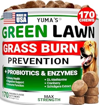 best lawn fertilizer for dog urine