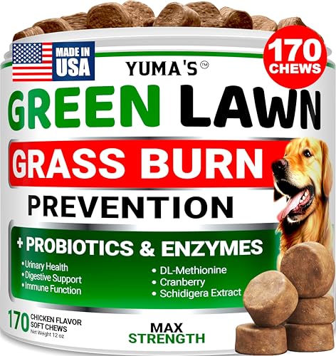 YUMA'S Dog Urine Neutralizer for Lawn - 170 Chews - Advanced Grass Green Savers for Dog Urine -...
