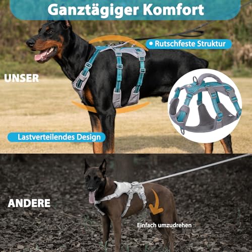 Huntboo Sicherheitsgeschirr Hund Ausbruchsicher, Panikgeschirr für Hunde, Reflektierendes Geschirr Hund mit Griff, Verstellbare Hundegeschirr für kleine, mittelgroße und große Hunde (Blaugrün,M)