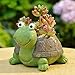 Youfui Turtle Plant Pot Flowerpot Animal Garden Pots Resin Succulent Pots Planter Bonsai Plant Holder for Home Office Desk Mini Ornament