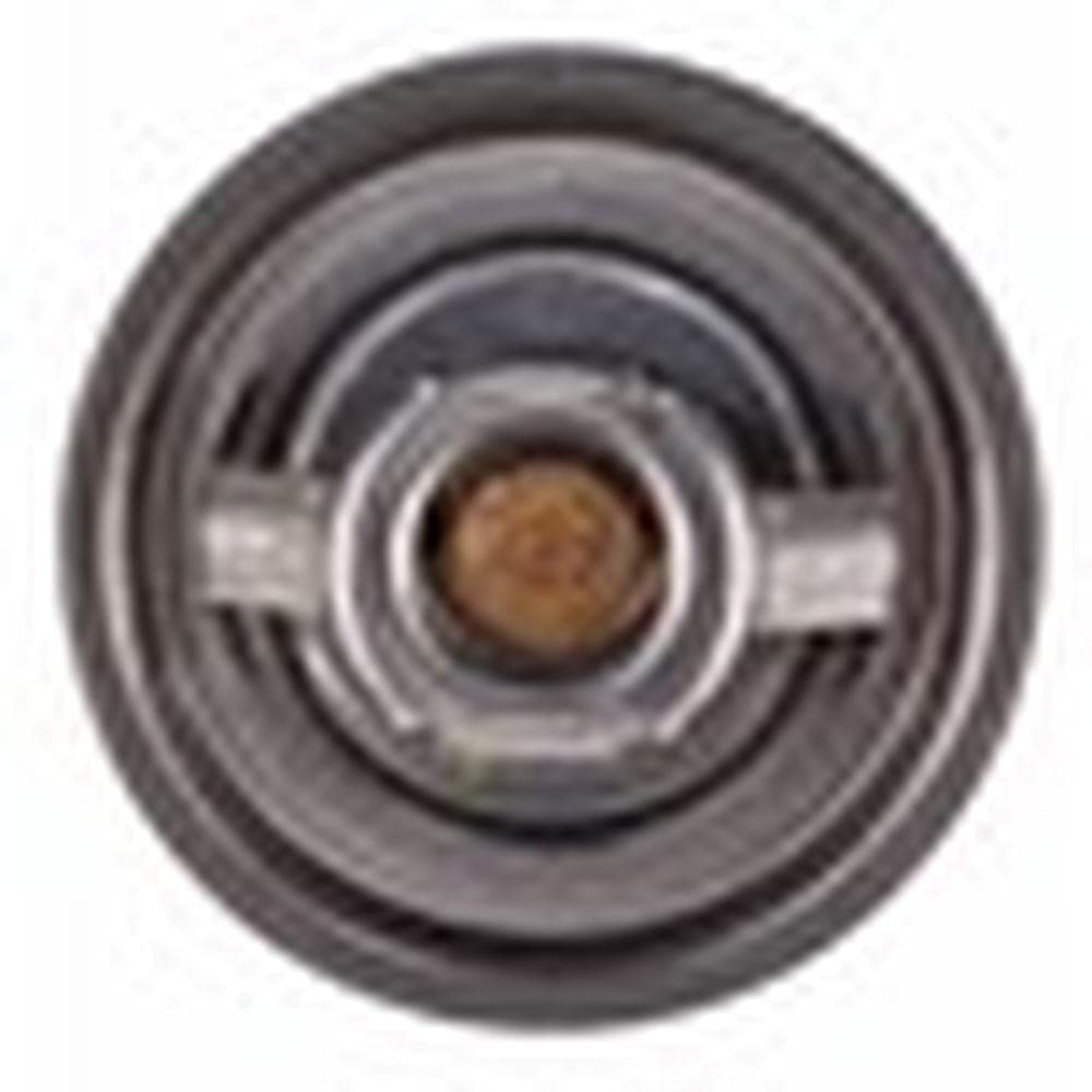 Amazon.com: RAParts HM1446222 Thermostat, 170 Degrees Fahrenheit 