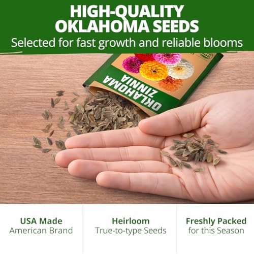 Image of HOME GROWN Zinnia Oklahoma (Zinnia elegans) Seeds, 100 Seeds, Heirloom, Non-GMO
